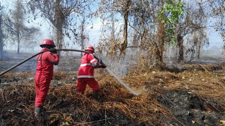 Manggala Agni Padamkan Sekitar 15 Hektare Karhutla di Kubu Raya
