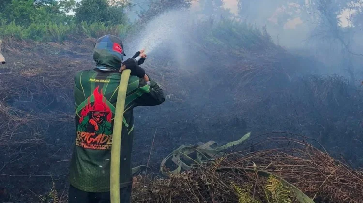 Lahan Gambut Hambat Pemadaman Karhutla di Rasau Jaya