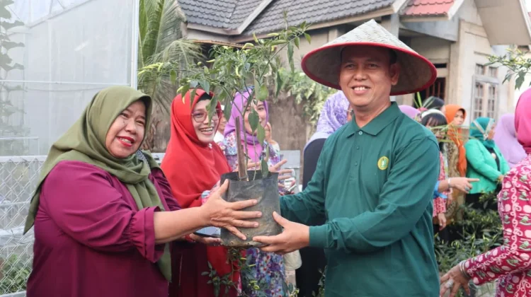 ALISA Khadijah ICMI Dorong Pekarangan Jadi Sumber Pangan dan Penghasilan