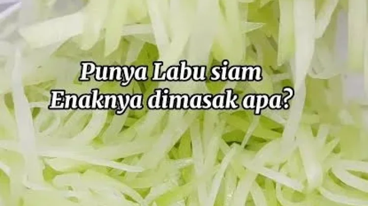 Resep Olahan Labu Siam dan Khasiatnya untuk Kesehatan