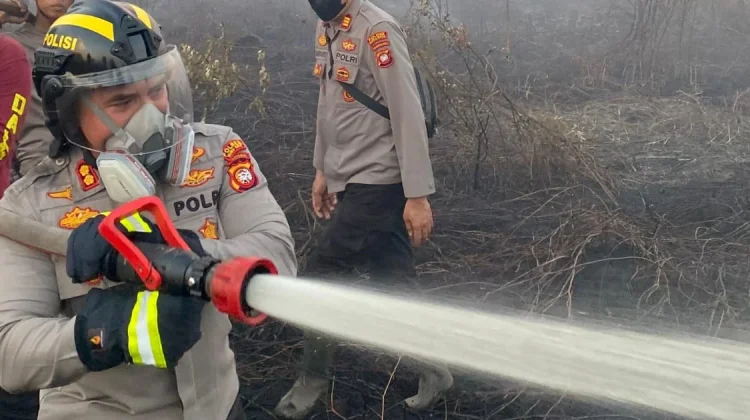Kebakaran Gambut Kubu Raya Ancam Sekolah dan Permukiman Warga