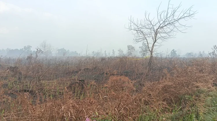 Angin Kencang Perparah Karhutla di Kawasan SMA Negeri 4 Sungai Raya