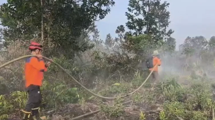 Angin Kencang Perparah Karhutla di Kawasan SMA Negeri 4 Sungai Raya