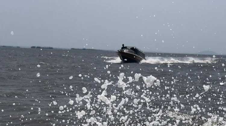 Hantam Gelombang Laut Muara menuju Benteng Ekologis Pesisir Desa Medan Mas