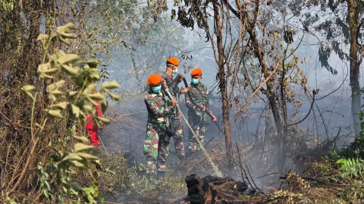 Yon Parako 466 Pasgat Bantu Jinakkan Karhutla di Kubu Raya