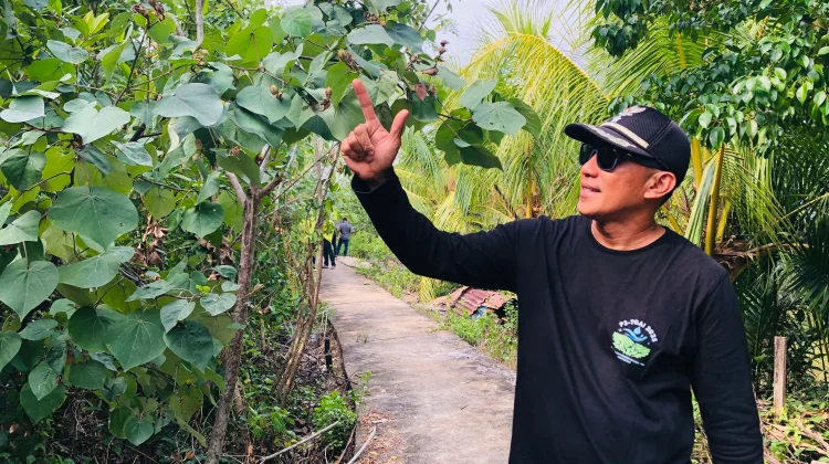 Desa Medan Mas Konsisten Jaga Kawasan Mangrove hingga Pukau Wisatawan dari Afrika