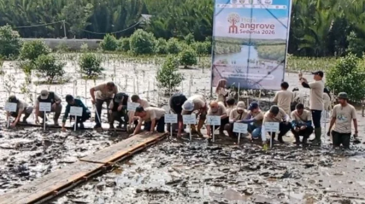 Penanaman 10 Ribu Mangrove, Untan Perkuat Restorasi Pesisir