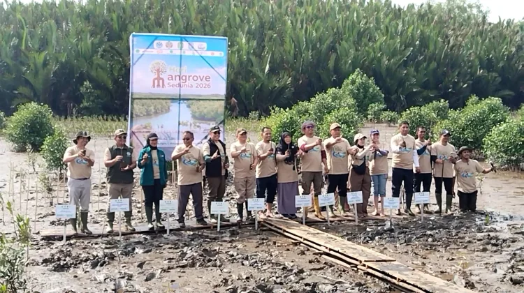Kubu Raya Perkuat Komitmen Pelestarian Mangrove Berkelanjutan Bersama