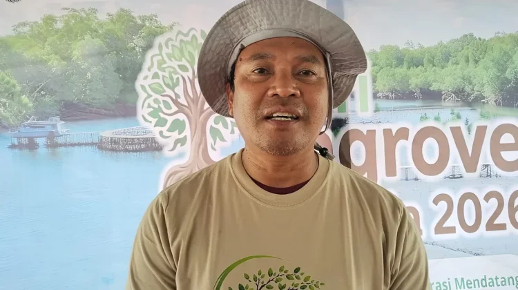 DLH Kalbar Prioritaskan Perlindungan Mangrove Demi Ketahanan Pesisir