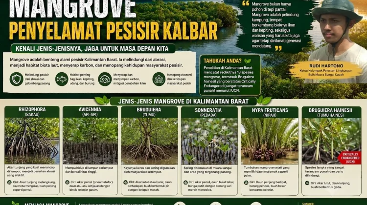 Mengapa Mangrove Kalbar Begitu Berharga? Ini Jenis-Jenisnya