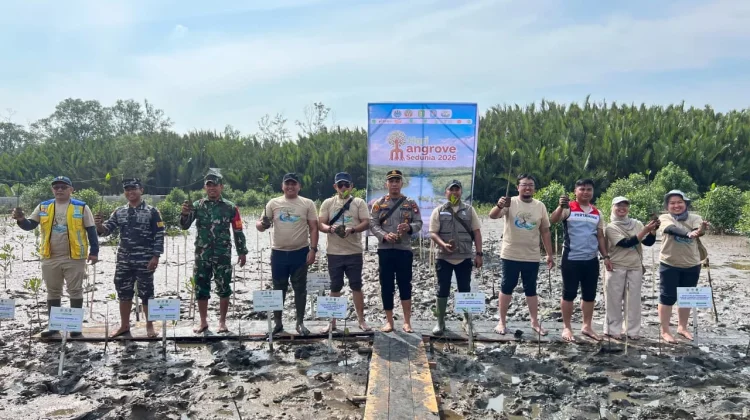 Dukung Rehabilitasi Mangrove Kubu Raya Pertamina Tanam 10.000 Bibit