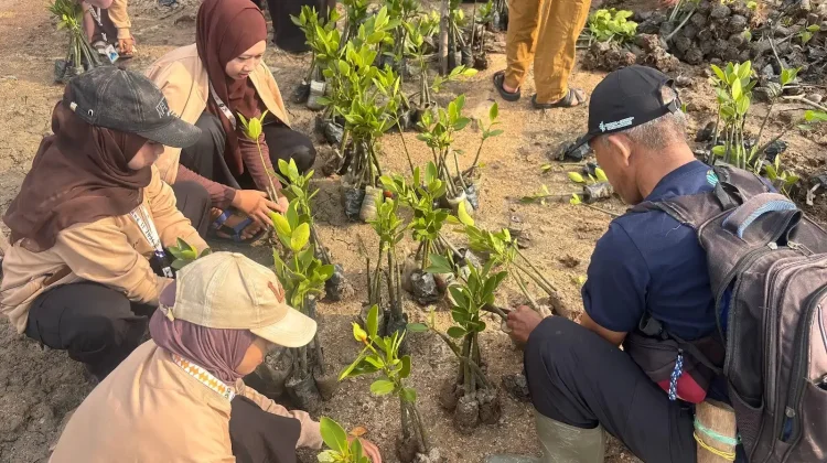 Penanaman 1.000 Pohon Mangrove pada Hari Mangrove Sedunia di Pantai Tanjung Burung
