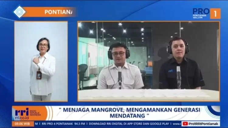 Pemulihan Mangrove Kalbar Diutamakan untuk Pulihkan Kawasan Terdampak