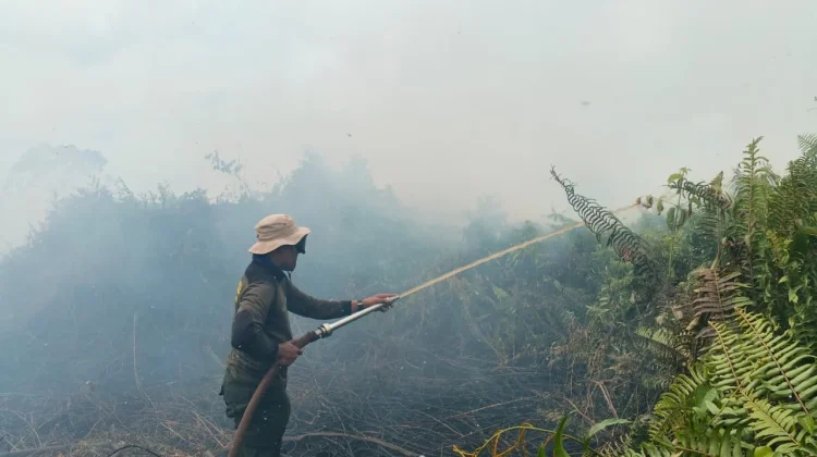 Api Karhutla di Arang Limbung Berhasil Diputus, Pemadaman Terkendala Air