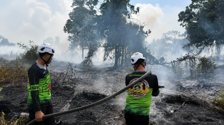 Titik Api Masih Ditemukan, Tim SAR Polda Kalbar Lakukan Pembasahan