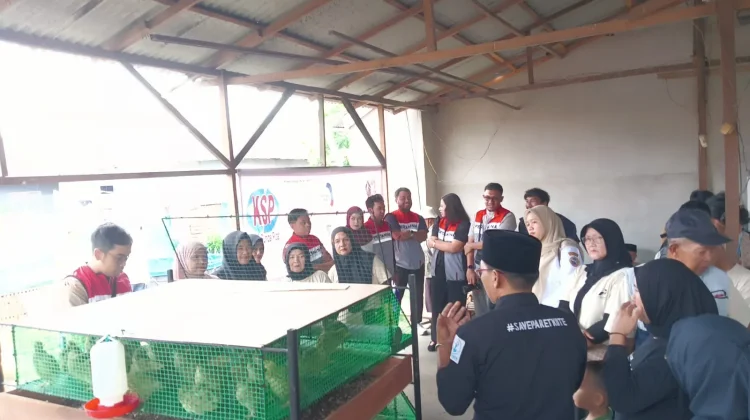 Pekarangan Produktif Warga Pontianak Utara Tumbuhkan Pangan Berkelanjutan