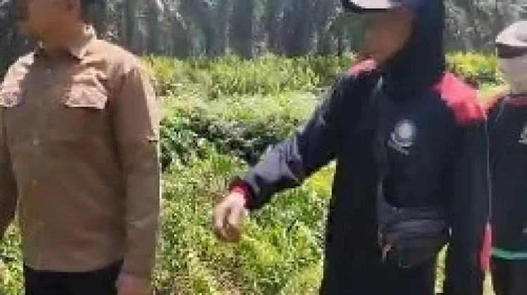 Kolaborasi Pemkab Kubu Raya dan Pemprov Kalbar Menangani Karhutla di Kec KMB