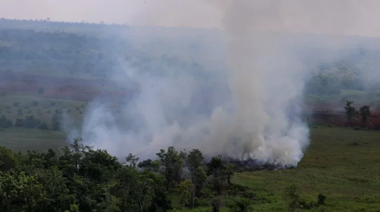 Satgas Udara Konsentrasi Pemadaman Karhutla di Tiga Kabupaten di Kalbar