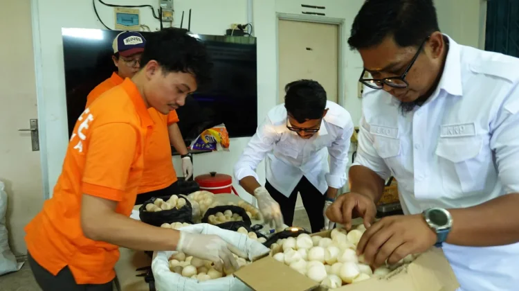 Petugas Gagalkan Dugaan Penyelundupan 1.286 Telur Penyu di Sambas