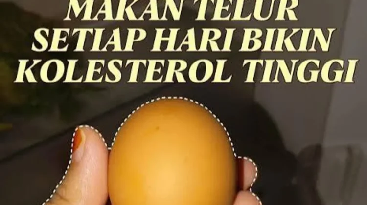 Makan Telur Setiap Hari Mitos atau Fakta