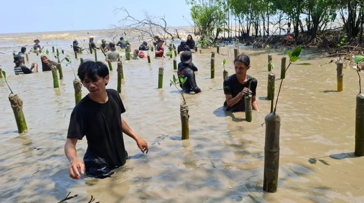 Aksi Tanam Mangrove di Sungai Bakau Kecil, Perkuat Pesisir dari Abrasi