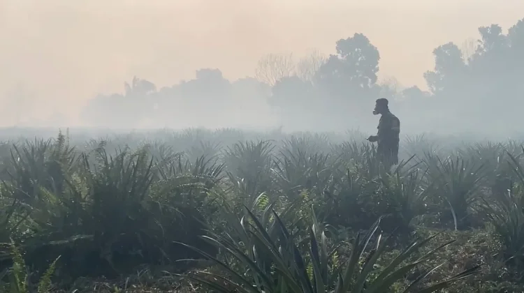 Menakar Kasus Karhutla Kalbar dengan Pendekatan New Ecological Paradigm