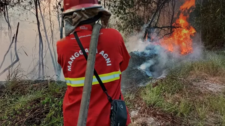 Kemenhut KERAHKAN 12.880 Personel Gabungan untuk Tangani Karhutla di Kalimantan