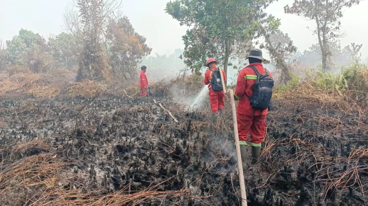 Kemenhut KERAHKAN 12.880 Personel Gabungan untuk Tangani Karhutla di Kalimantan