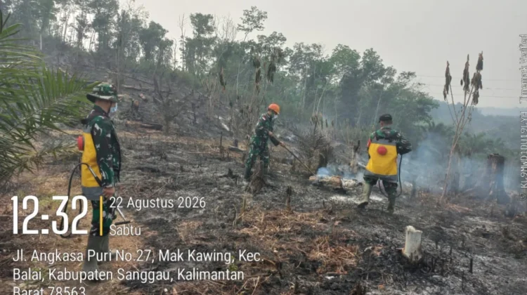 Dandim dan Kapolres Sambas Turun Padamkan Karhutla