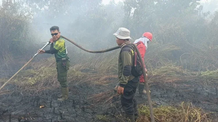 DPRD Kalbar Minta Kepala Daerah Fokus Tangani Karhutla