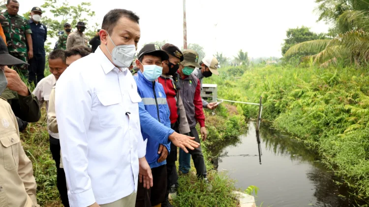 Wamen LH Minta Perusahaan Bangun Sekat Kanal Tangani Karhutla di Kalbar