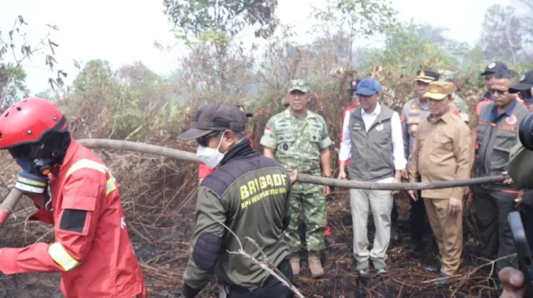 Menteri Kehutanan Tinjau Karhutla di Kalbar, Hotspot Turun Jadi 28 Titik