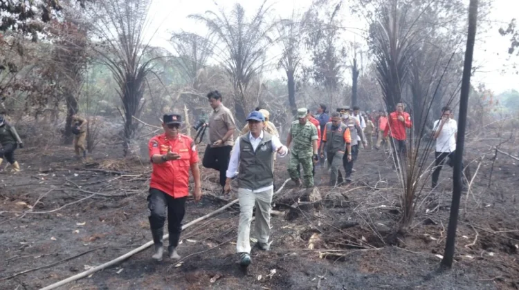 Karhutla Kalbar, Menhut Ancam Cabut Izin Konsesi yang Melanggar
