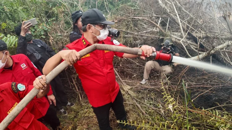 Tiga Minggu Hadapi Karhutla, Kemenhut Perkuat Manggala Agni