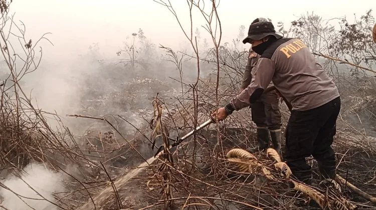 Karhutla Hanguskan Tiga Hektare Lahan Gambut di Mempawah