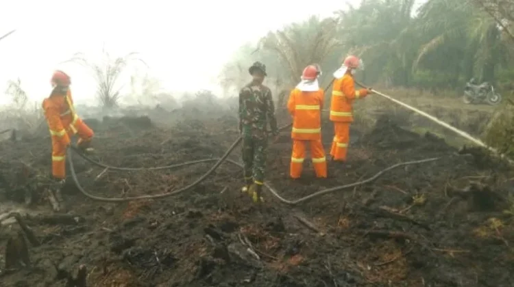 Respon Cepat PT SUM Tekan Karhutla di Batu Mak Jage, Api Tak Meluas ke Perkebunan
