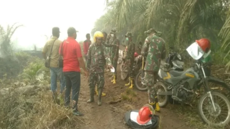 Respon Cepat PT SUM Tekan Karhutla di Batu Mak Jage, Api Tak Meluas ke Perkebunan