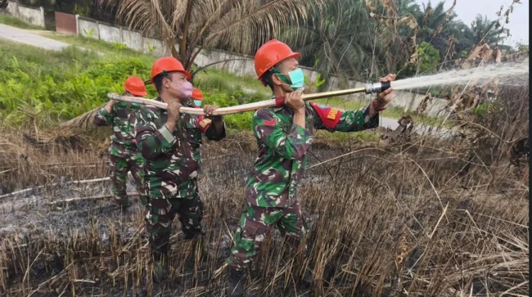 Koramil Kapuas Padamkan Dua Titik Karhutla di Sanggau