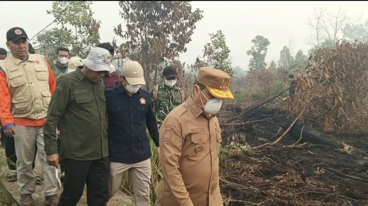 Gubernur Kalbar Tinjau Karhutla Parit Haji Muksin, Ingatkan Warga tak Bakar Lahan