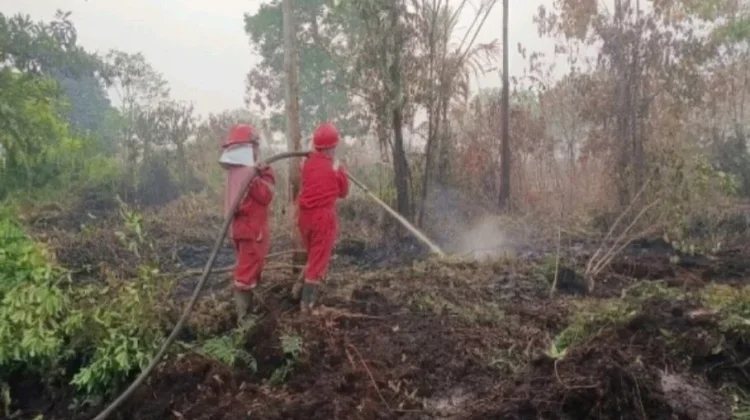 Cegah Api Merambah ke Konsesi, Tim Damkar PT SUM Siaga 12 Hari di Lokasi Karhutla
