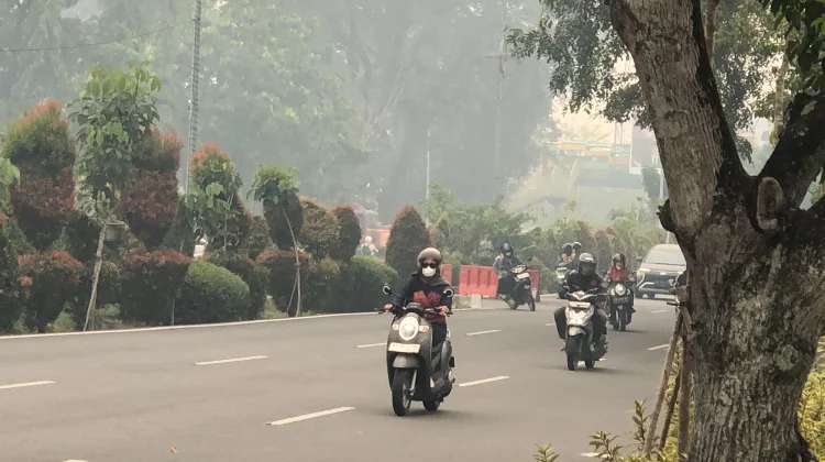 Kabut Asap Makin Meluas, AMAN Kalbar Dorong Percepatan Status Bencana
