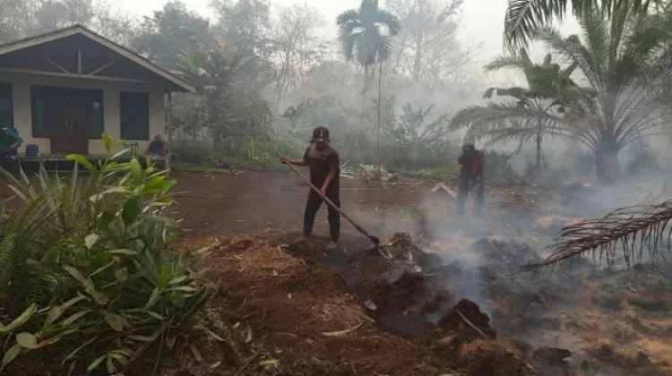 Karhutla Ancam Rumah Warga, Tim Gabungan Bergerak Cepat