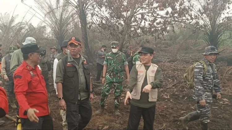 Tinjau Karhutla Kubu Raya, BNPB Tekankan Pentingnya Pemadaman Tuntas