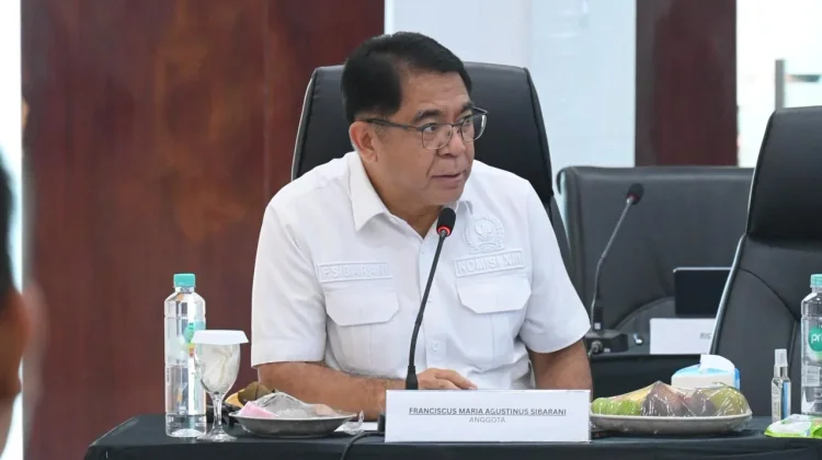 Sibarani Ingatkan RUU Profesi Kurator Tak Sekadar Atur Syarat Jadi Kurator