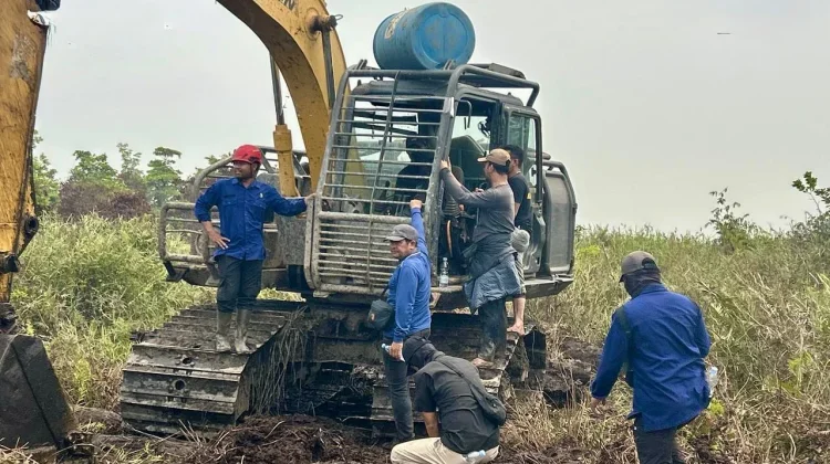 Tim Gabungan Amankan Alat Berat dari Perambahan Hutan Ketapang