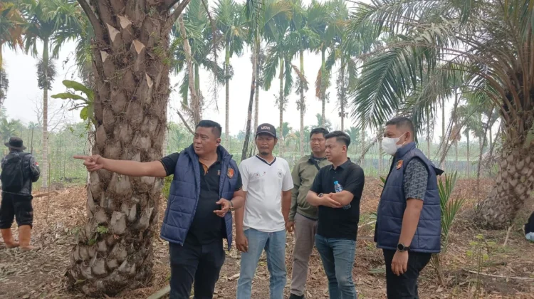 Polisi Cek Lahan Karhutla usai Isu Ditanami Sawit Beredar
