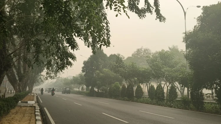Kabut Asap Ganggu Aktivitas dan Kesehatan Pengemudi Ojol di Pontianak