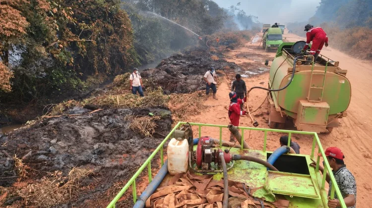 PT Mayawana Persada dan Mitra Padamkan Titik Api di Zona Penyangga