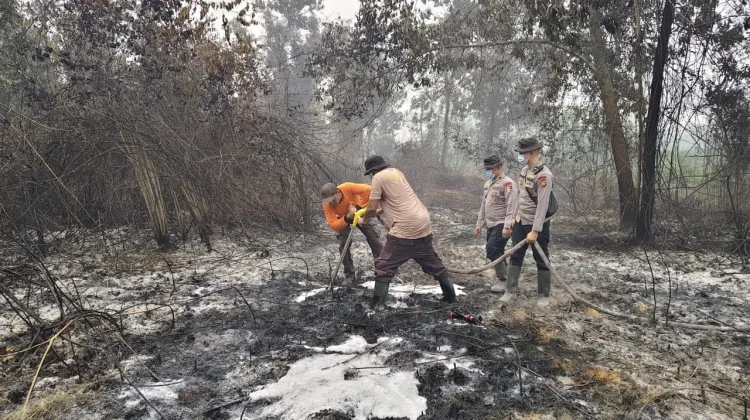 Hujan Belum Padamkan Bara Gambut, Satgas Sisir Karhutla di Kubu Raya