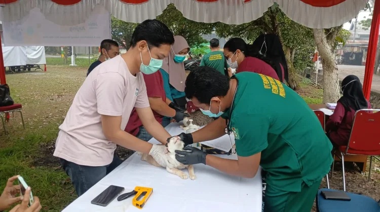 Pemkab Kubu Raya Gelar Bazar Murah dan Vaksinasi Rabies Gratis